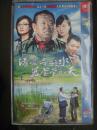 清凌凌的水蓝莹莹的天【全28集】DVD--9原装正版