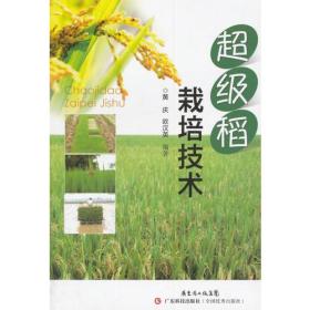 超级稻栽培技术