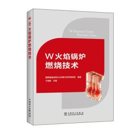 W火焰锅炉燃烧技术