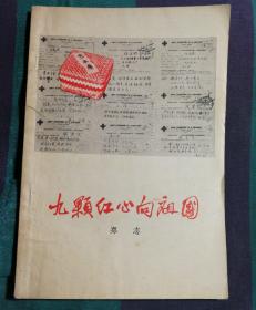九颗红心向祖国   九同志在巴西反政治迫害斗争纪实