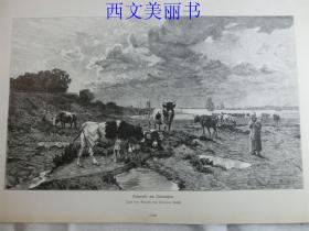 【现货 包邮】1883年木刻版画《莱茵河牧场》（Viehweide am Aiederrhein） 尺寸约40.8*27.5厘米（货号 18027）