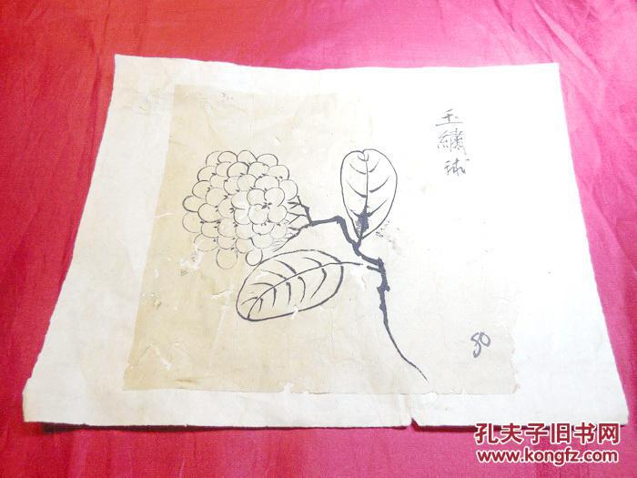 清代民国期老画家祥流作玉绣球花图真迹国画手稿老字画保真品