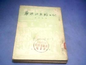 华沙、北京、维也纳