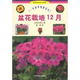 盆花栽培12月：一年四季观赏花卉