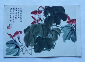老画片—1955年画片1张