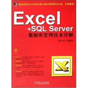 Excel+SQL Server数据库管理技术详解