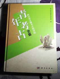 四川省文物考古研究院青年考古文集