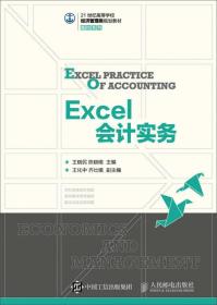 Excel会计实务（本科教材）