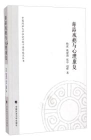 中国政法大学社会学院十周年院庆丛书：毒品成瘾与心理康复