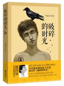 破碎的时光沈肯尼江苏文艺出版社9787539962061