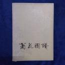 菊花图谱