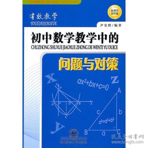 有效教学：初中数学教学中的问题与对策[新课程初中版]