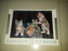三猫戏金鱼1981年历画