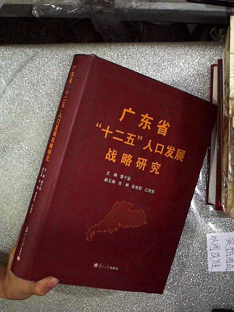 廣東省“十二五”人口發(fā)展戰(zhàn)略研究