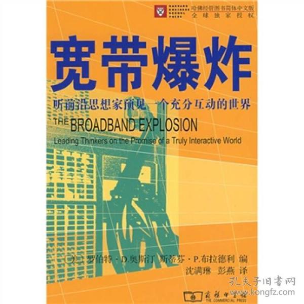 宽带爆炸：听前沿思想家预见一个充分互动的世界