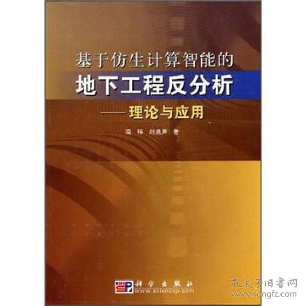 基于仿生计算智能的地下工程反分析：理论与应用