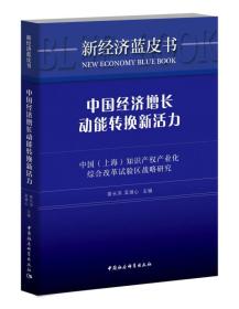 中国经济增长动能转换新活力：中国（上海）知识产权产业化综合改革试验区战略研究  未拆封