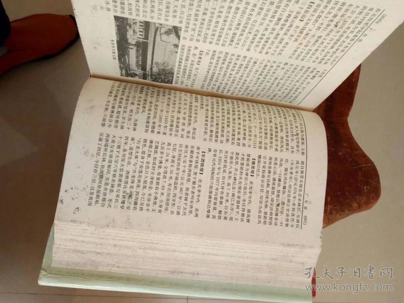 中国名胜词典（第二版）