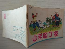 山羊回了家