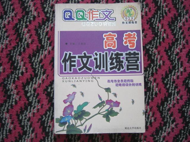 高考作文訓(xùn)練營