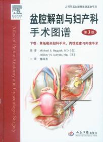 盆腔解剖与妇产科手术图谱（下卷）：其他相关妇科手术、内镜检查与内镜手术（第3版）