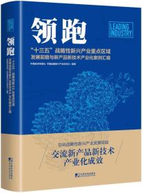 领跑:十三五战略性新兴产业重点区域重点发展前瞻与新产品新技术产业化案例汇编