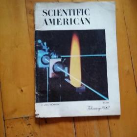 原版美国期刊    SCIENTIFIC AMERICAN  1982年二月号 科学美国人 1982 2   品如图，封及书脊有损。