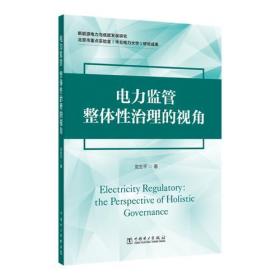 电力监管专著整体性治理的视角Electricityregulatorytheperspectiveofholisticgove