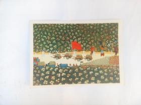 32开画片 硕果累累