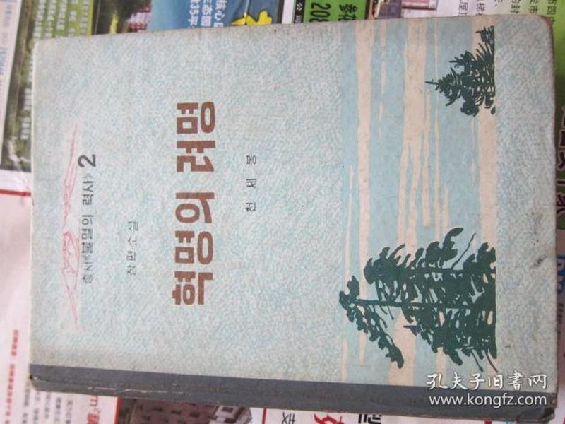 朝鲜文 朝鲜历史小说 朝鲜原版书