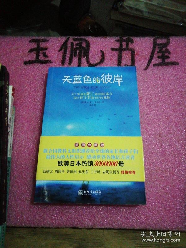 天蓝色的彼岸：关于生命和死亡最深刻的寓言