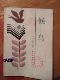 候鸟 作者: 刘富道