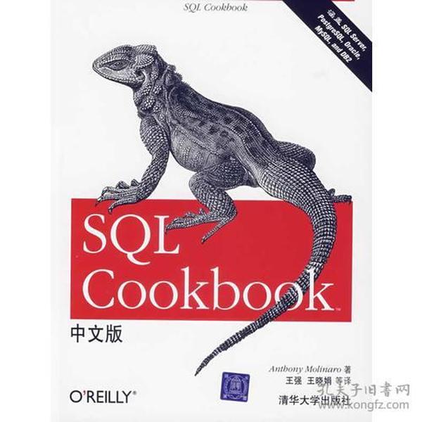 SQL Cookbook中文版