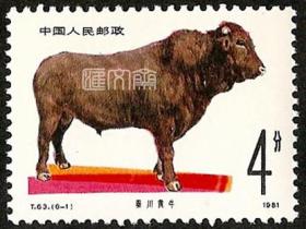T63畜牧业-牛（6-1）4分秦川黄牛，原胶全新上品邮票一枚，如图