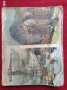 百花齐放1959年