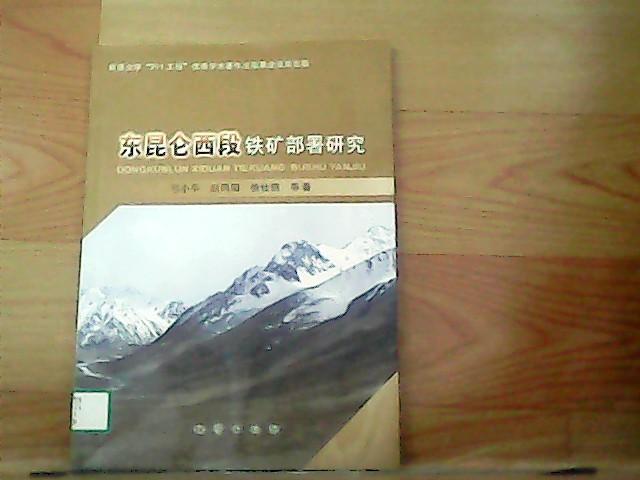 东昆仑西段铁矿部署研究
