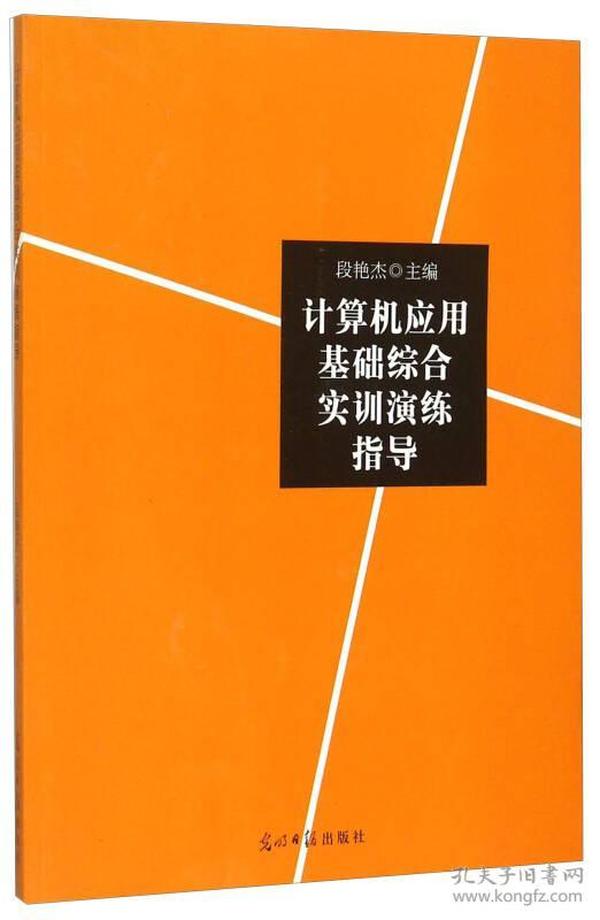 计算机应用基础综合实训演练指导