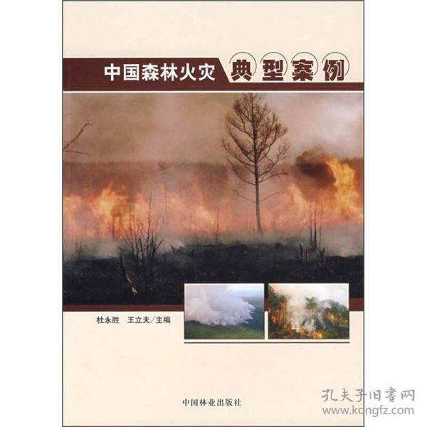中国森林火灾典型案例
