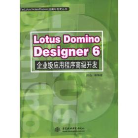 Lotus Domino Desiyner6企业级应用程序高级开发