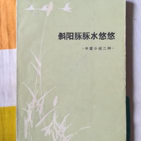 斜阳脉脉水悠悠