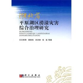 湖北省平原湖区涝渍灾害综合治理研究