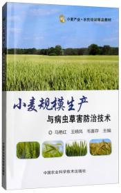 小麦规模生产与病虫草害防治技术
