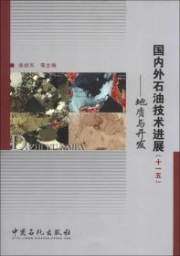 国内外石油技术进展(十一五):地质与开发