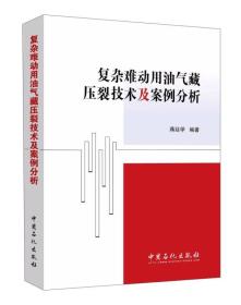 复杂难动用油气藏压裂技术及案例分析