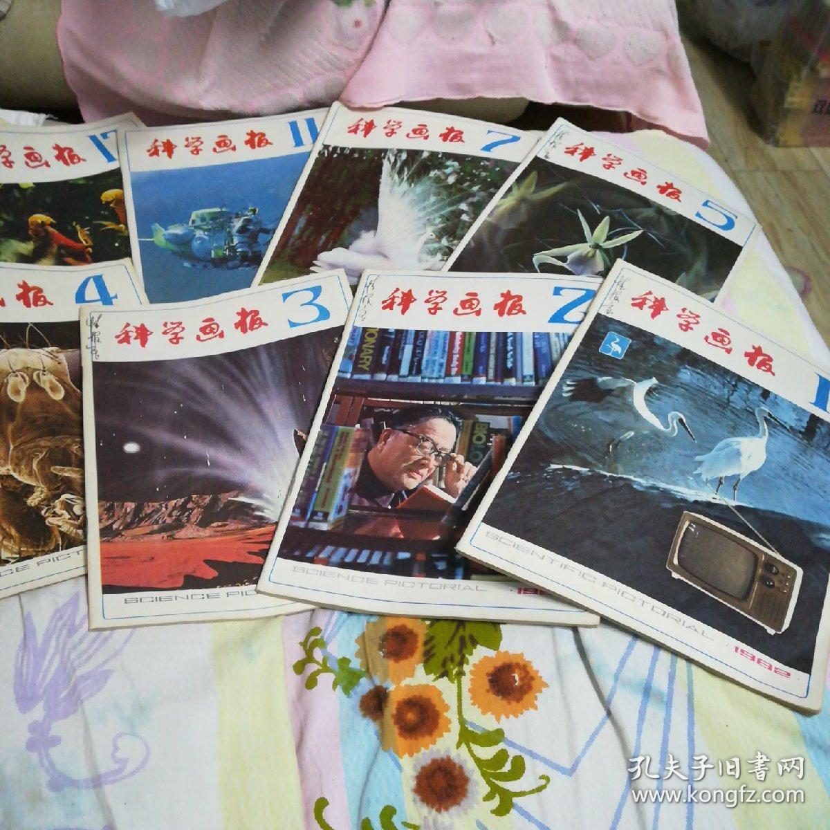 点击查看原图 科学画报 (杂志1982年第1,2,3,4,5,7,11,12期,1983年第5,8,9,10,12期共计13本).