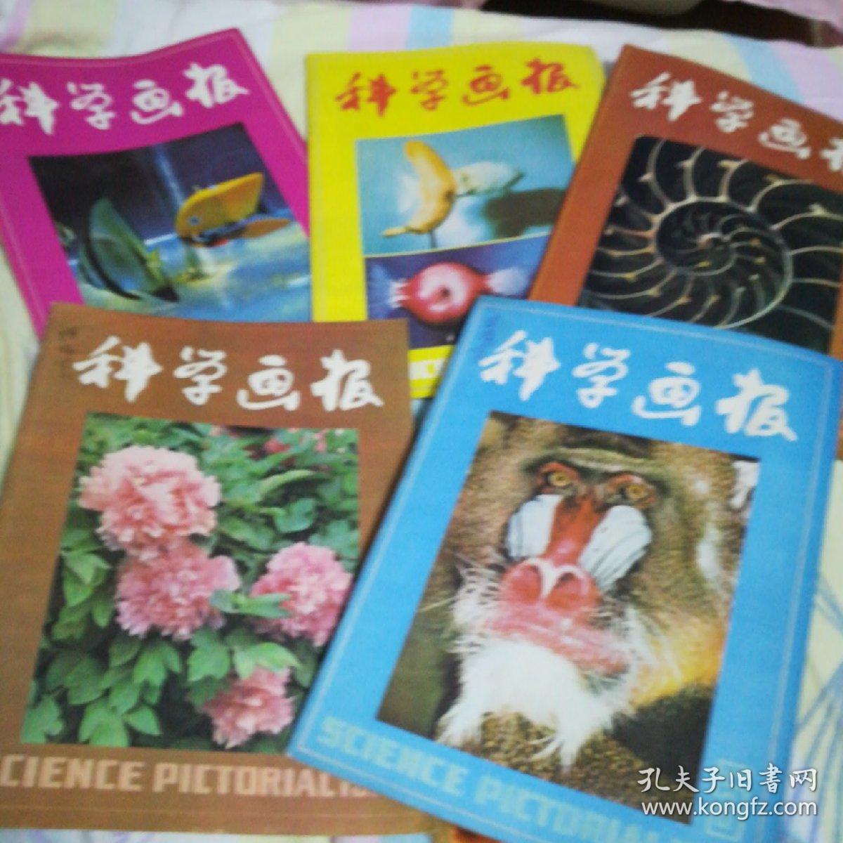 点击查看原图 科学画报 (杂志1982年第1,2,3,4,5,7,11,12期,1983年第5,8,9,10,12期共计13本).