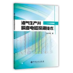 油气生产井瞬变电磁探测技术