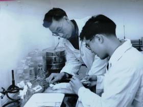1957年老照片《中国科学院药物研究所科学家--正在做实验》抗癌新药，大白鼠实验