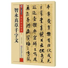 墨点字帖·传世碑帖精选第一辑：智永真草千字文（毛笔草书书法字帖）