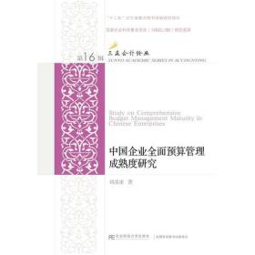 中国企业全面预算管理成熟度研究